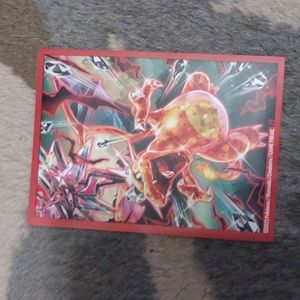Pokemon card sleeves (Charizard)